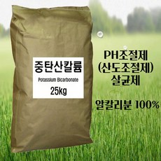 탄산칼륨