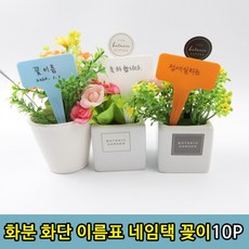 튼튼한 식물 화단 꽃 화분 라벨 네임택 이름표 10P, 상세페이지 참조