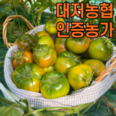 [산지직송]-대저 짭짤이 토마토[특품] 특 할인행사, 대저 토마토(쥬스용랜덤과)2.5kg