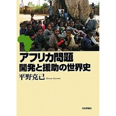 아프리카 문제 - 개발 원조의 세계사, 단일옵션, 단일옵션
