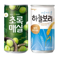 초록매실 하늘보리, 180ml, 60개