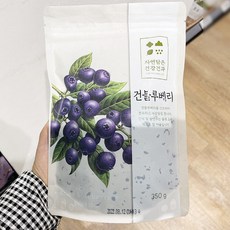 동우농산 건블루베리 350g x 1개, 단품, 단품