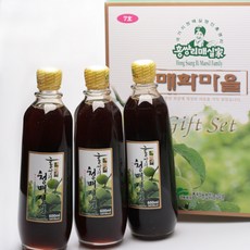 홍쌍리 청매실 선물세트7호(600ml 3병) / 광양 청매실농원, 600ml