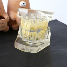 a9119cbef2039d871e36ab838e9f383993174bb4ed91e20f1d4a0cc2de24.jpg