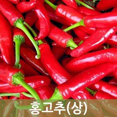 국산 홍고추 1박스1kg 5kg 10kg 건고추용 물고추 빨간홍고추, 홍고추 5kg, 1개