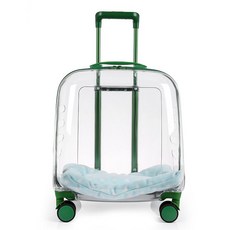 고양이캐리어 투명 펫 삼면통풍 방수 여행 경량, (옵션) 그린 41cmx41cmx31cm, 1개