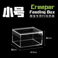 달팽이사육장 사육통 도마뱀 달팽이집 파충류 투명 집 하우스 채집통 케이지, 소형 사육 상자 10 8 7, 1개