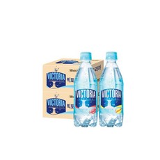 천연탄산수제조기