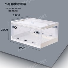 고양이비염
