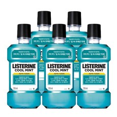리스테린 구강청결제 쿨민트 250ml, 5개