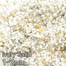 백사(아이보리) 1~2mm 3kg /수족관 어항 수조 연못 열대어 구피 거북이 바닥재 장식품 돌 모래 화분 원예, 1개