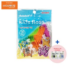 스카이덴트치실