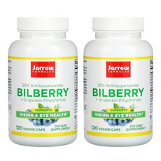 자로우 빌베리 포도껍질 폴리페놀스 280 mg 120정 2팩, 2개