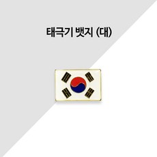 땡큐솔져 태극기 뱃지 (대) 군인 군용 전역모 - 전역모사이트