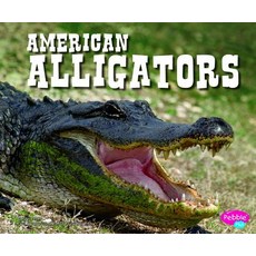 (영문도서) American Alligators Paperback, Capstone Press, English, 9781429679183