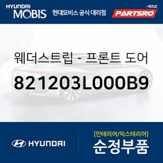 프론트 도어 바디 사이드 웨더스트립(뱀띠고무) 우측 (821203L000B9) 현대모비스 부품몰 그랜저TG