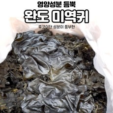 해풍수산