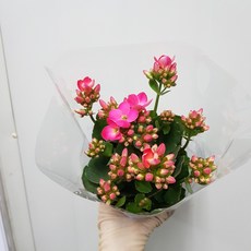 ba869f4c3dfcd9d8b2e504edf47ea3501f23cbb4663068b293b3dfd1d7b1.jpg