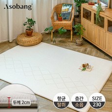아소방230
