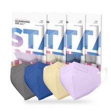 스탠다드핏2d마스크