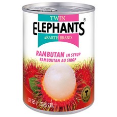 TWIN ELEPHANTS 雙象地球牌 糖水紅毛丹, 565公克, 565g, 1罐