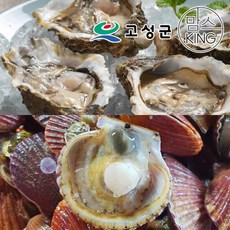 [공룡나라]동성수산 국산 석화 5kg+가리비 3kg / 경남 고성, 1개