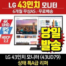lg4k모니터