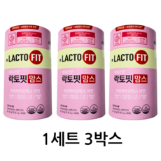 락토핏맘스 락토핏 맘스 유산균 360g 3세트