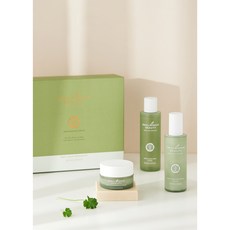 뷰티윈도비비크림