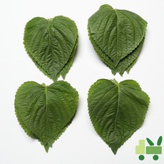 찹찹이깻잎2kg