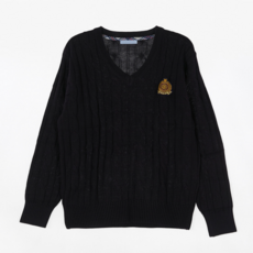 일산대진고니트