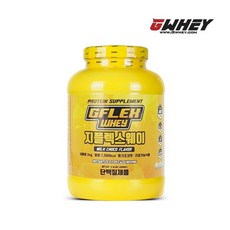지웨이 지플렉스웨이 단백질 보충제 프로틴 밀크초코 2kg