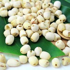 휴비안 연자육 껍질깐 통연자육 연밥 메티오닌다량함량 베트남산 300g, 1개