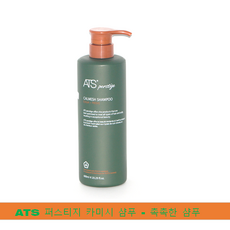 사은품증정 ATS 리버시 카미시 브레시 두피샴푸 600ml, 1개, 카미시(두피건조)