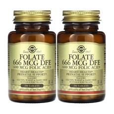 2개세트 Solgar 솔가 Folate 엽산 400mcg 250정 타블렛 셀룰로오스 스테아르산 실리카 함유, 2개 - 스테아르산