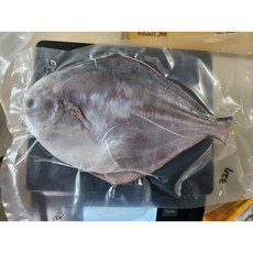 완도 급냉 손질병어 횟감용 특대 300g 병치 덕자, 횟감용 병어특대1미 손질후 300g이상, 1개