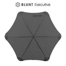 블런트 우산 New XL 이그제큐티브 (EXE), 차콜