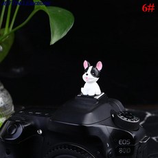 렌즈캡홀더토끼