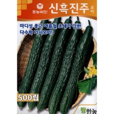 보석광내는천