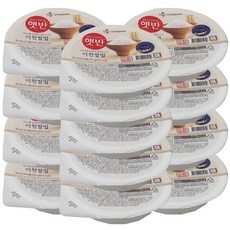 햇반 이천명품쌀밥, 210g, 13개