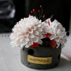 쿠모방향제