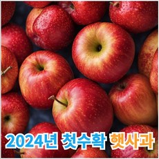 껍찔째 먹는 천연과즙 팡팡 안동 청송 가정용 꿀사과 1개 4.5kg내외 상품 이미지