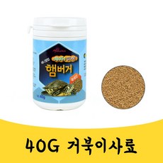 아기거북이가방