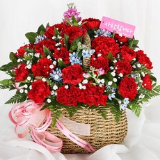 전국당일도착 카네이션 꽃바구니 생화 화분 꽃다발 선물 어버이날 스승의날 꽃배달 서비스 (99플라워)