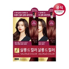 엘라스틴 엘라스틴 살롱 드 컬러 와인브라운 염색약 100g x2개, free, 사방넷 옵션