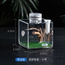 거미 아크릴 상자 사마귀 녹색 용품 LED 먹이 애완 사육장 육지거북이사육장 곤충, 트럼펫 하단부에 LED램프 6.5*6.5, 1개