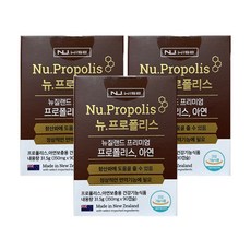 뉴와이즈 뉴질랜드 프리미엄 프로폴리스 아연 350mg x 90캡슐x3박스, 90캡슐, 3개