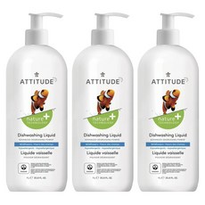 에티튜드와일드플라워