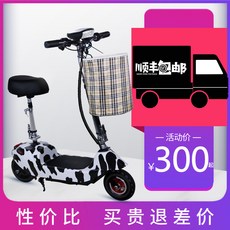 전동킥보드 작은돌고래 미니 배터리카 전동차 소형차 여성 미니접이식 전동 킥보드 소형전동차 걷기대신, T19-차(오프라인매장 협력)전기기계 24V
