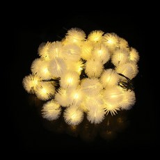 빛의화원